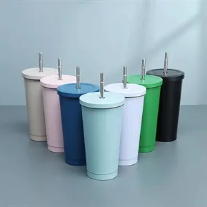 304 Stainless Steel Straw Double Wall Insulated Coffee Cup