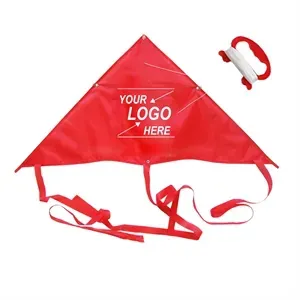 Custom Delta Kite