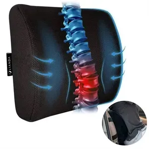 Lumbar Support Pillow