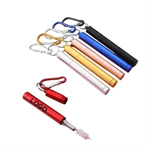 Retractable Stainless Steel Straw Set